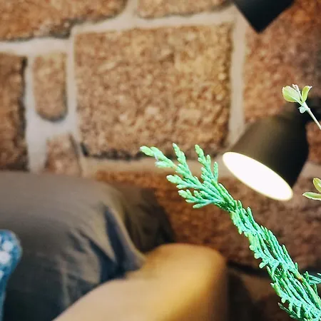 Dağ evi Moinhos Do Poco