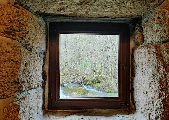Moinhos Do Poço - Nova Gestão *